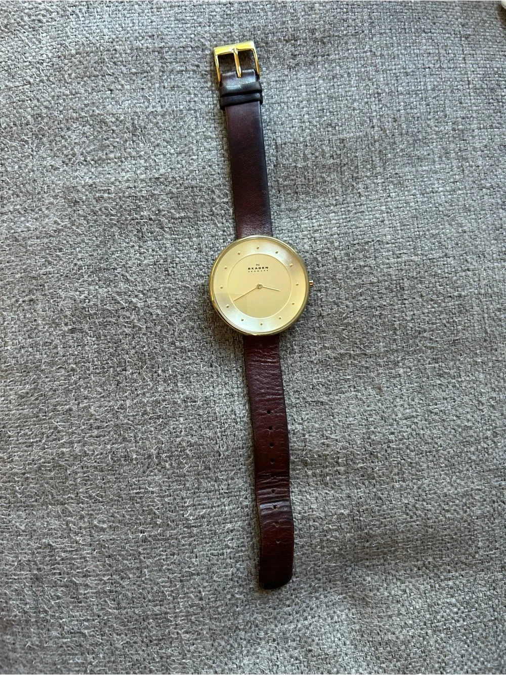 Skagen Gold Dial Brown Leather Strap Minimalist Watch